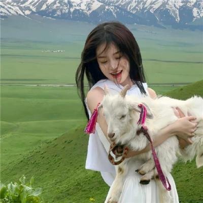 自然学院林第二季