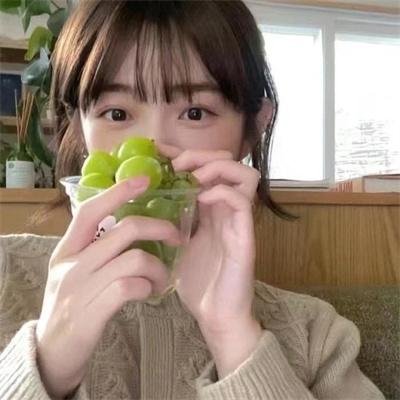 与螂共舞
